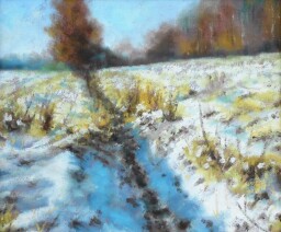 Strouha  20x30